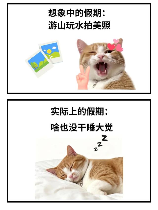 假期在龙岗这么玩！发朋友圈被赞爆！