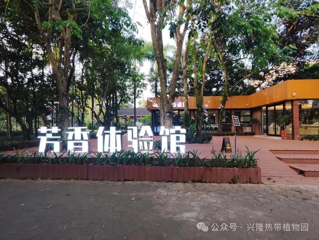 夯爆了！万宁7条春节旅游线路，喊您穿短袖过大年！