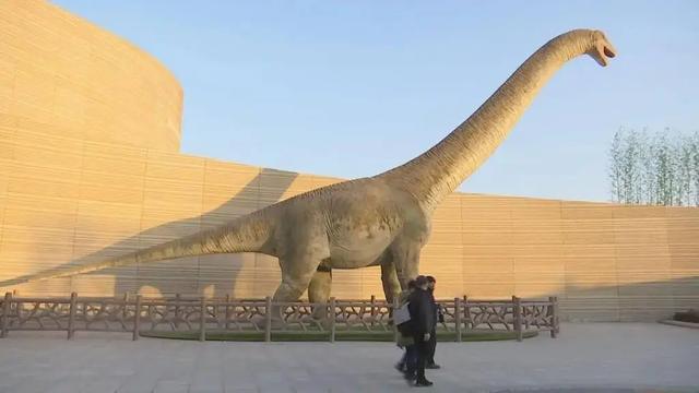 等你来打卡!河北两大新晋博物馆相继试运行