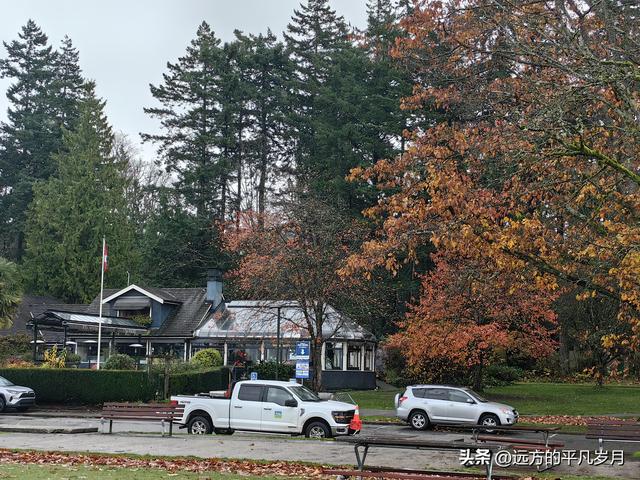 温哥华游记（六）