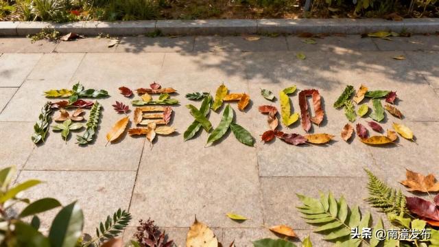 片片落叶，“拼”出一城风景