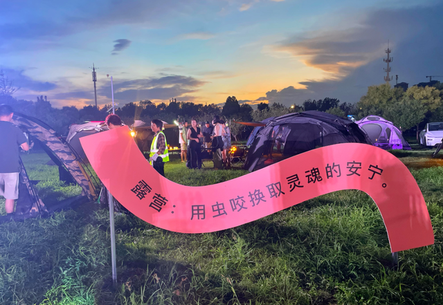 多元场景，全域联动！洛阳以“露营+”打造家门口的“诗和远方”……