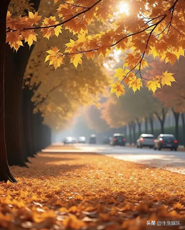 活着》：最经典的10句话，字字渡己，句句渡心