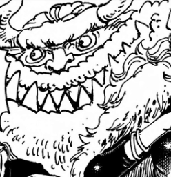 海贼王，神之骑士团11名成员全公开！实际上并没有那么强