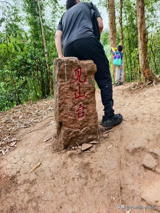 成都徒步（66）·邛崃篇⑥皮缝峡谷·皮缝古道