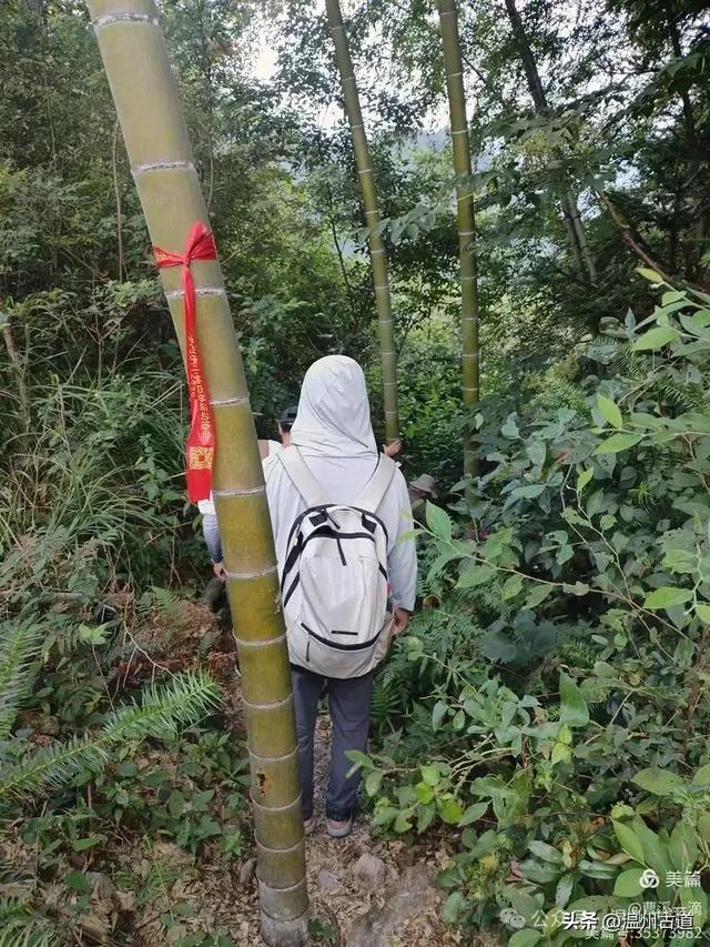 温州高山峡谷隐藏的小众秘境,驴友的瀑降宝藏地!雨后风光绝佳!