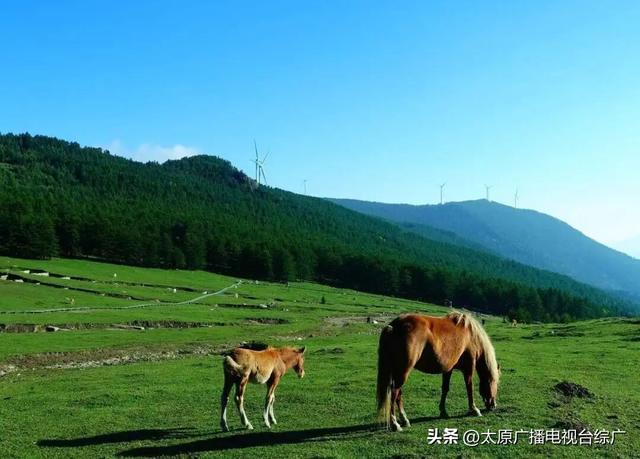 藏在太原周边的“好去处” 盘点娄烦4大露营地 人少 免费 1个半小时到达