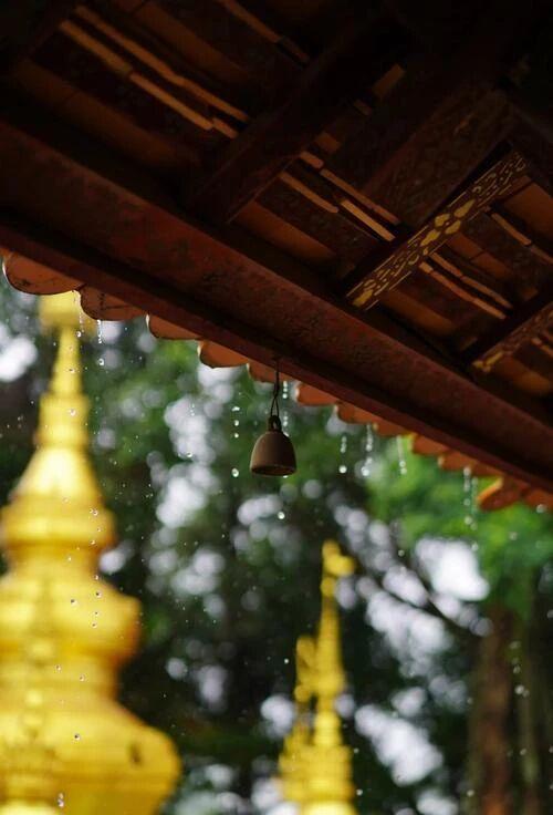 雨落神都，洛阳便成了水墨画！这5个地方最适合雨中漫步