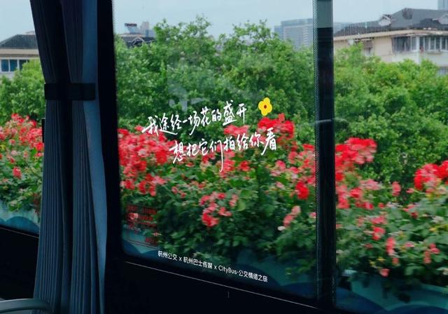 “杭州的温柔，就在这些不经意间的人间注脚里。”