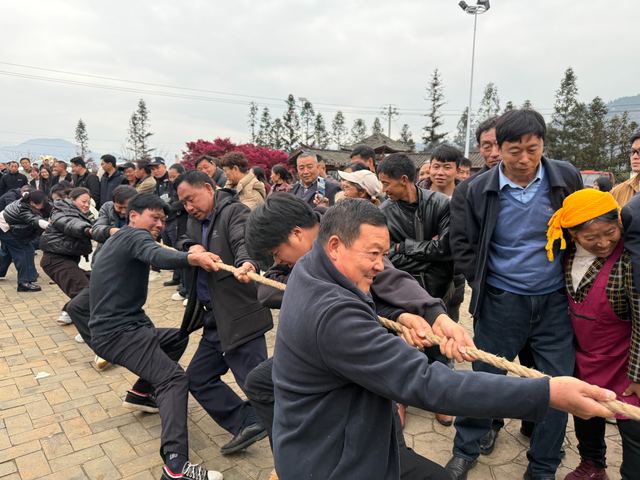 花海人潮春意浓 抓鸡拔河乐翻天 | 水城区营盘乡第十届桃花节系列趣味活动热闹启幕