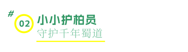 这个暑假，让孩子用眼睛收藏千年古蜀道