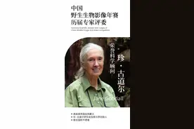 珍·古道尔博士：祝你们好运，永远不要放弃。图片