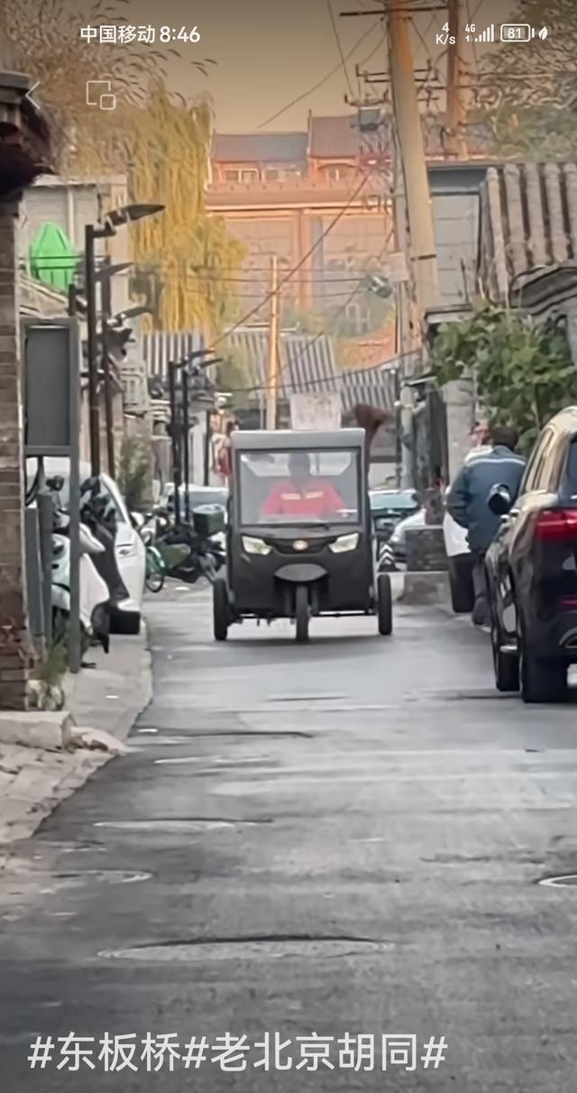 王林平随笔《北京的老胡同》