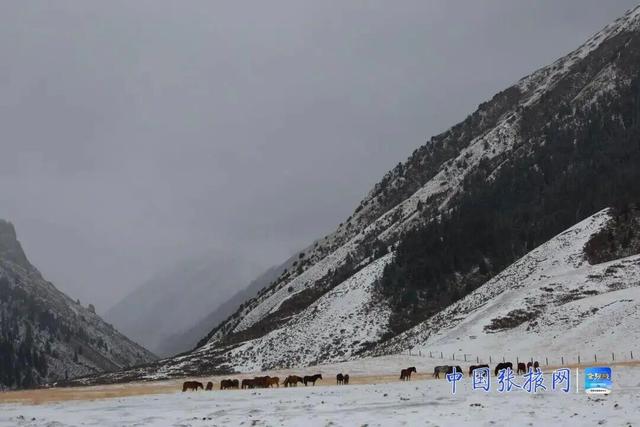 这个冬天 来张掖山丹马场看壮美静谧的冬日画卷