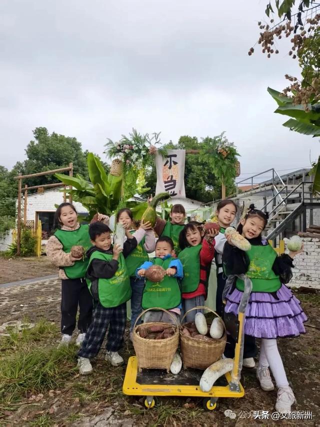 收藏秋日宝藏学玩地图!趣游新洲,为知识充“秋”电