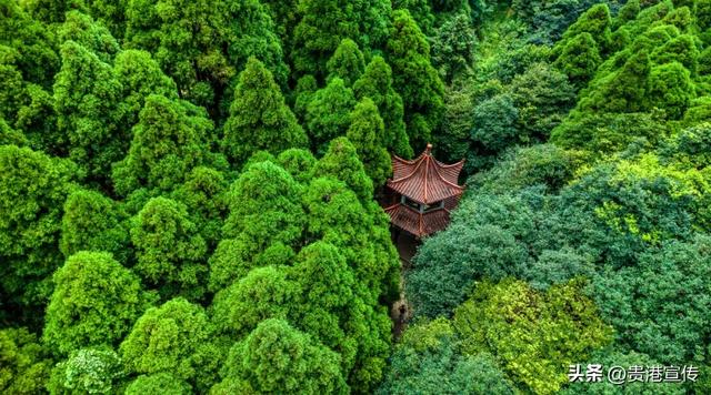 溪流、露营、森林、热气球……一起解锁贵港版“绿野仙踪”