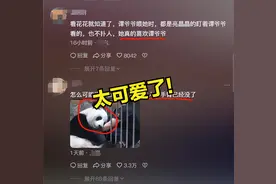 熊猫对饲养员有感情吗？看完网友的评论涨知识了。图片