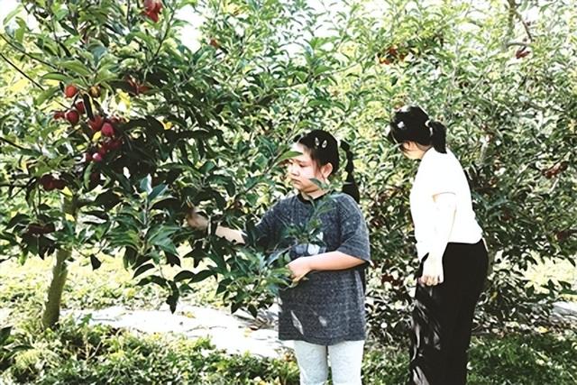 解锁四平周边游 邂逅多彩秋日时光
