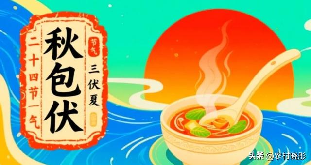 今日立秋，“热不热，看立秋”！今年秋天到底热不热，早看早知道