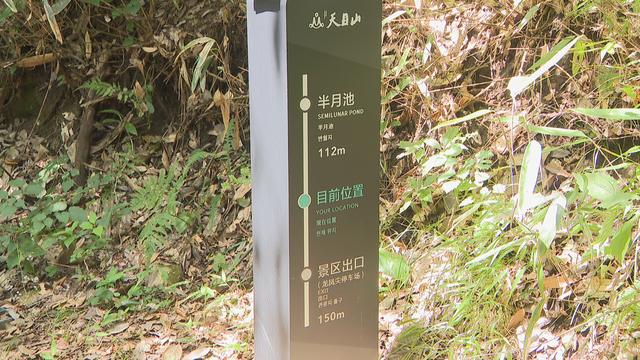 天目山又悄悄变美了！生态旅游综合改造提升工程完工 游客量暴涨40%