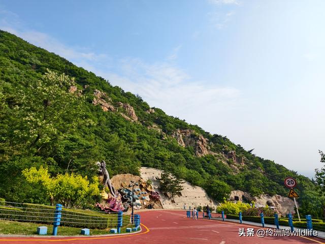 大连海之韵公园·棒槌岛