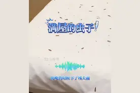 笑不活了，北方人在南方被满屋虫子惊呆上热搜，我却笑死在评论区图片