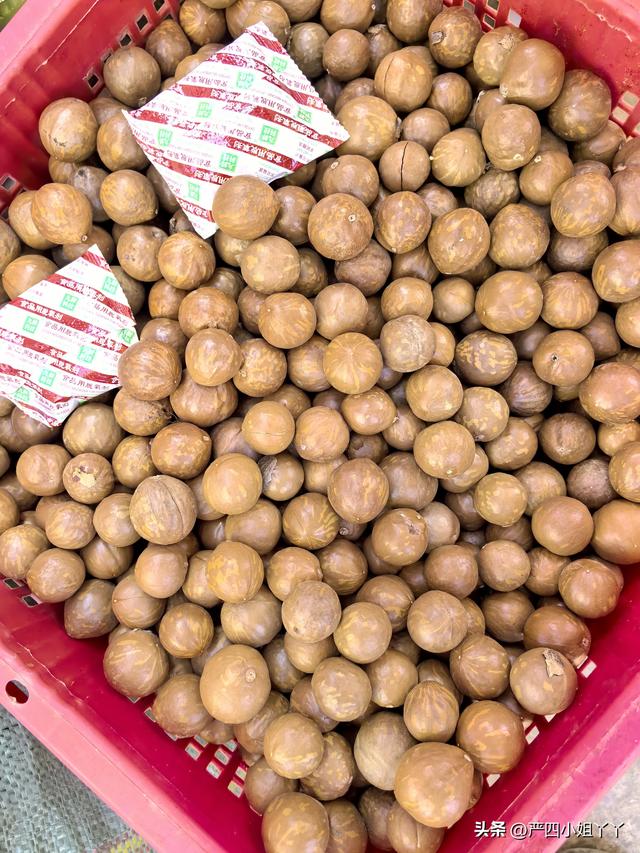 柯街黑温泉度假之旅，最后一个赶集日的烟火与日常