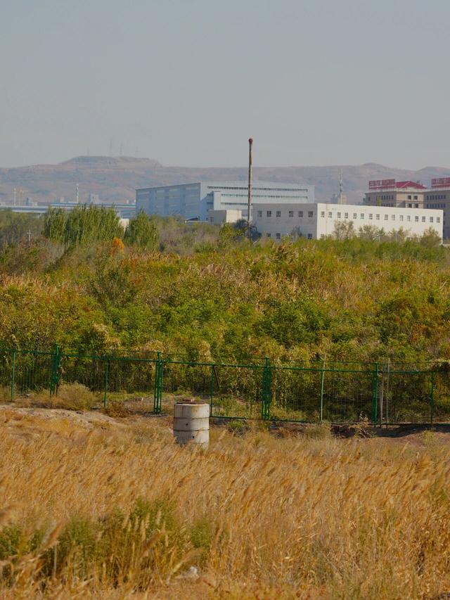 如何不“悲秋”？在乌鲁木齐 3 处湿地，放松一点