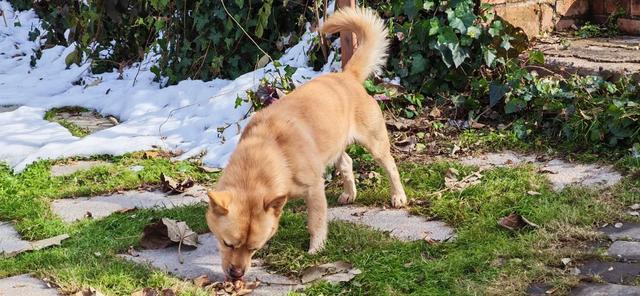 探秘长安石爷：第八尊石爷缺鼻子，递午村叫九村的原因实在意外