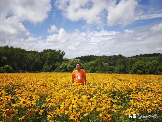 没有一株薰衣草的薰衣草庄园