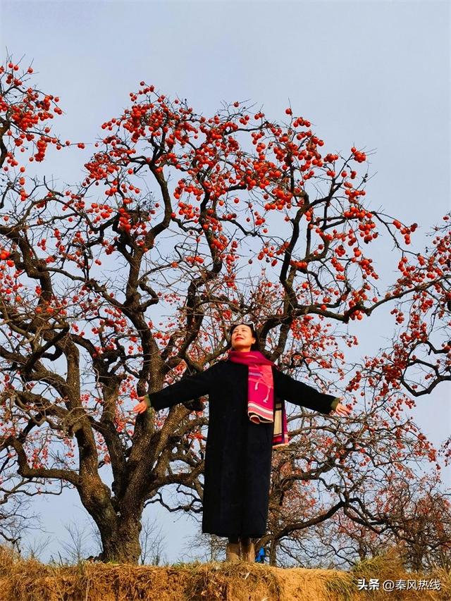 彬州市：多举措提升罗店村柿林观赏地游客满意度