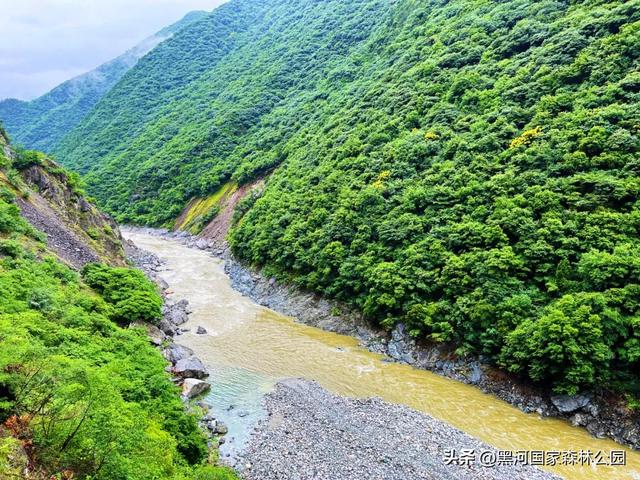 立秋已至，暑热未消，黑河山水与你相约“剩”夏的时光