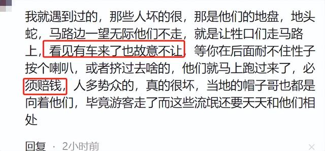 摩旅青海被牧民打头后续！7峰骆驼丢失，当地人发声 骑手有错在先