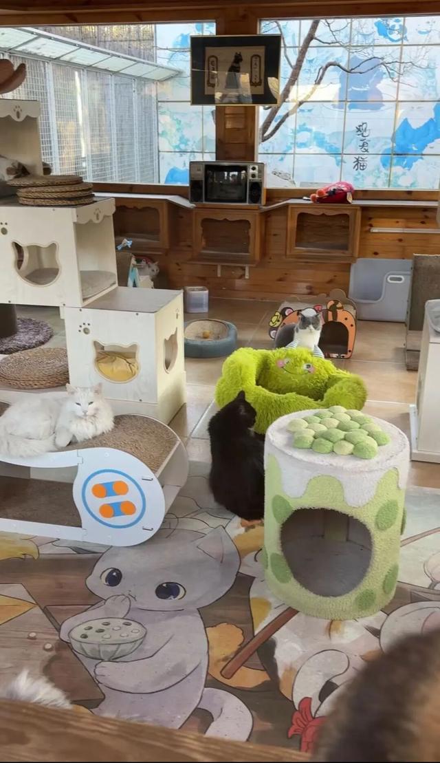 博物FUN | 观复之道：中国首家私立博物馆的“逆生长”密码