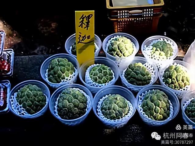 宝岛台湾：日月潭