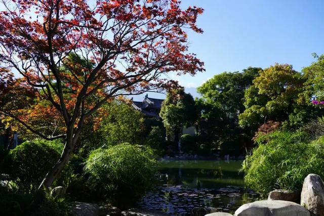 大理“穿越级宫宴”邀你赴约