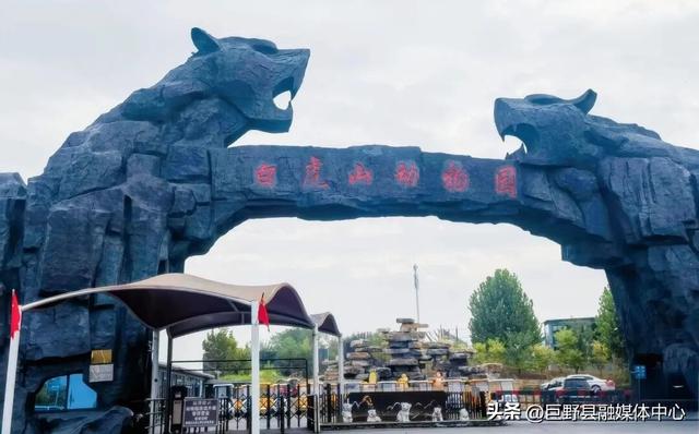 定了！国庆开园！门票免费送！菏泽白虎山动物园10月1日强势回归！