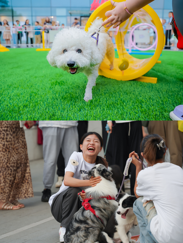 这个8月，拖猫带狗闯江南竹海~