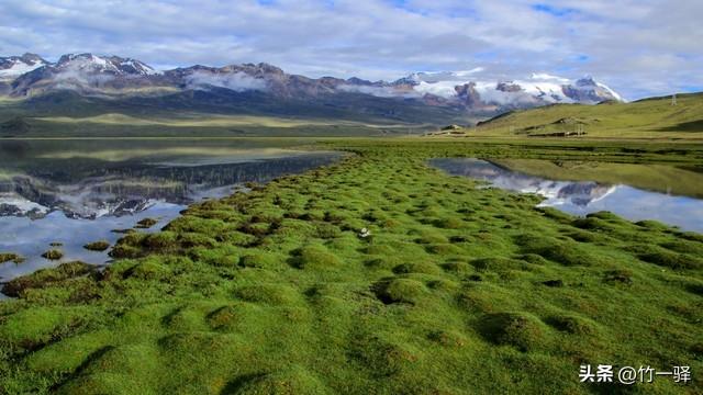 西藏嘎朗湿地：藏东南的隐秘莲花