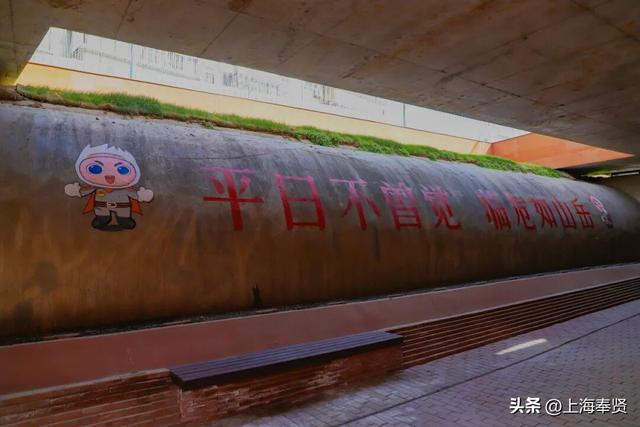 防空洞变身“时空博物馆”，等你来打卡！