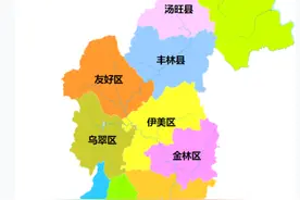 黑龙江伊春市4区5县1市概况图片