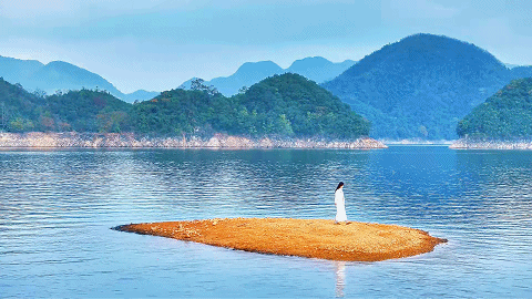 一叶知秋，一湖知美：太平湖红杉林已美成诗 | 皖美秋日