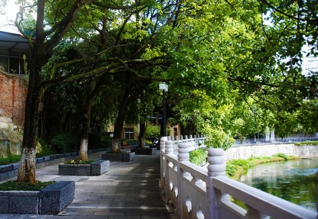 贵阳巷里走｜市府路：时光褶皱里的诗意与蓬勃