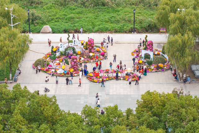 年度金秋盛宴来了，武汉城建集团邀您逛菊展、赏名菊、拍美照！