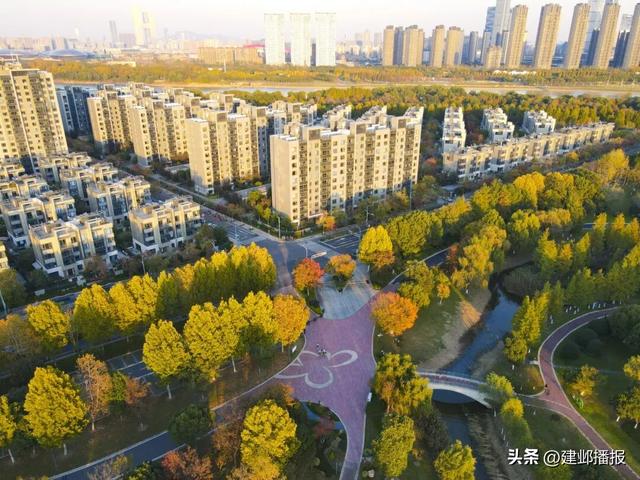 江 心 洲 秋 日 漫 游