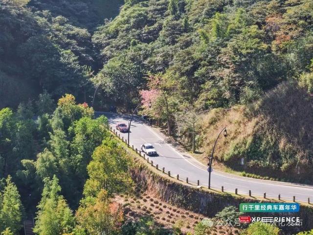 畅游最美旅游公路，打卡文旅地标，行千里经典车嘉年华活动走进从化