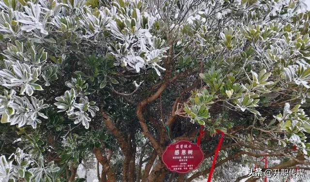 探寻天景山冰雪之旅,体验闽赣之巅!