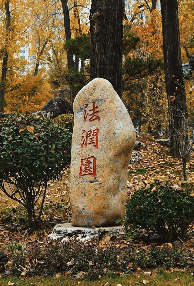 临沂市区赏秋地图出炉！红枫、银杏、落叶道…承包你的秋日朋友圈