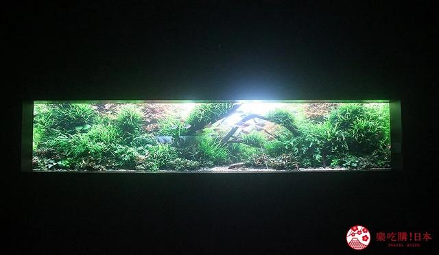 夜游札幌景点推荐「AOAO SAPPORO」水族馆:狸小路地下街直达