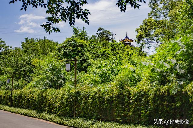 登“尊师亭”，揽西川景